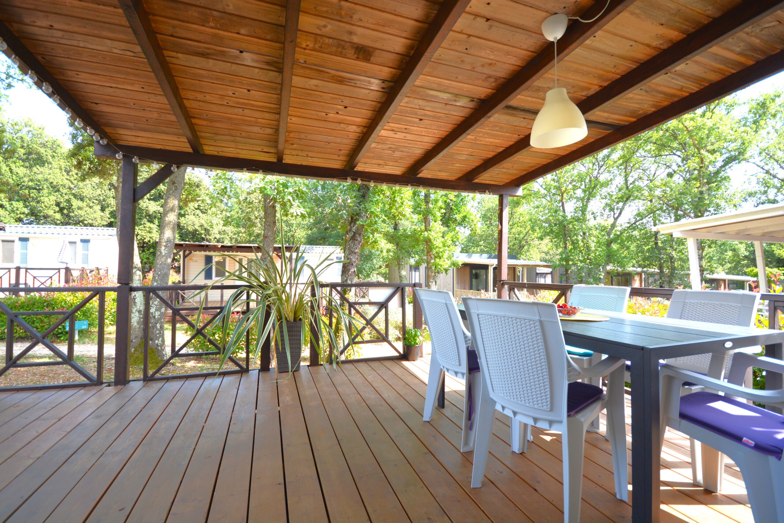 Solaris Terrace Dinning 